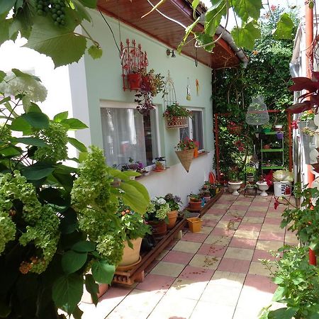 Appartement Casa Munteanu à Eforie Nord Extérieur photo